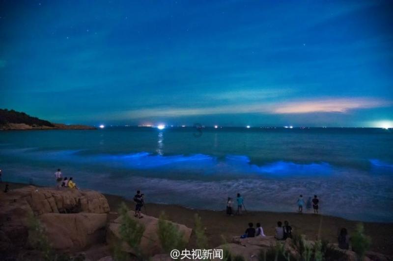 奔跑的兔子