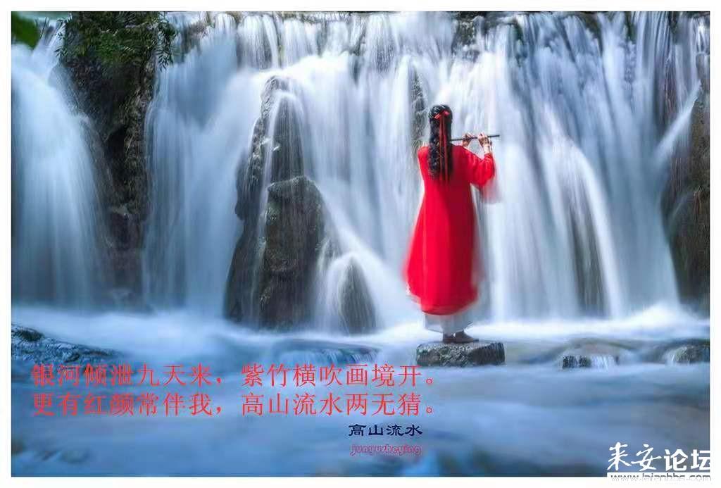 见缝插刀2无敌版